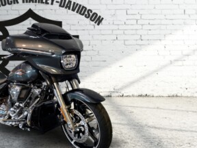 2025 Harley-Davidson<sup>®</sup> Street Glide™ Iron Horse Metallic thumb 2