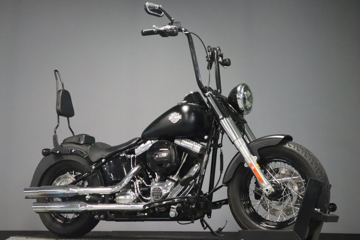 2017 Harley-Davidson Softail Slim S FLSS - Photo 2