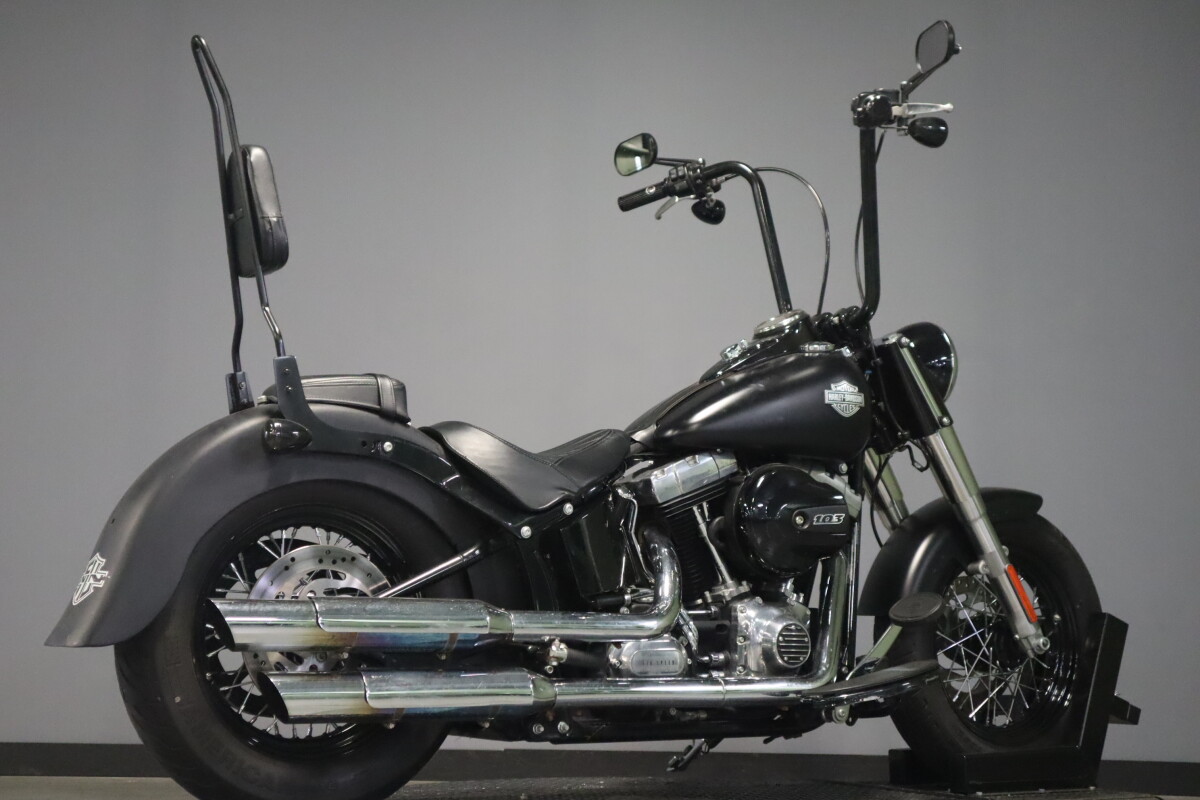 2017 Harley-Davidson Softail Slim S FLSS - Photo 8