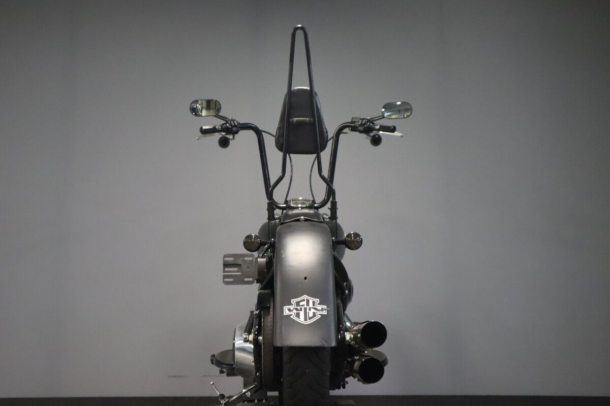 2017 Harley-Davidson Softail Slim S FLSS - Photo 7