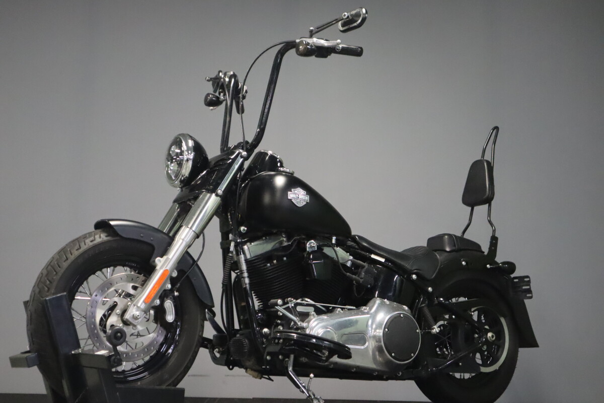 2017 Harley-Davidson Softail Slim S FLSS - Photo 4