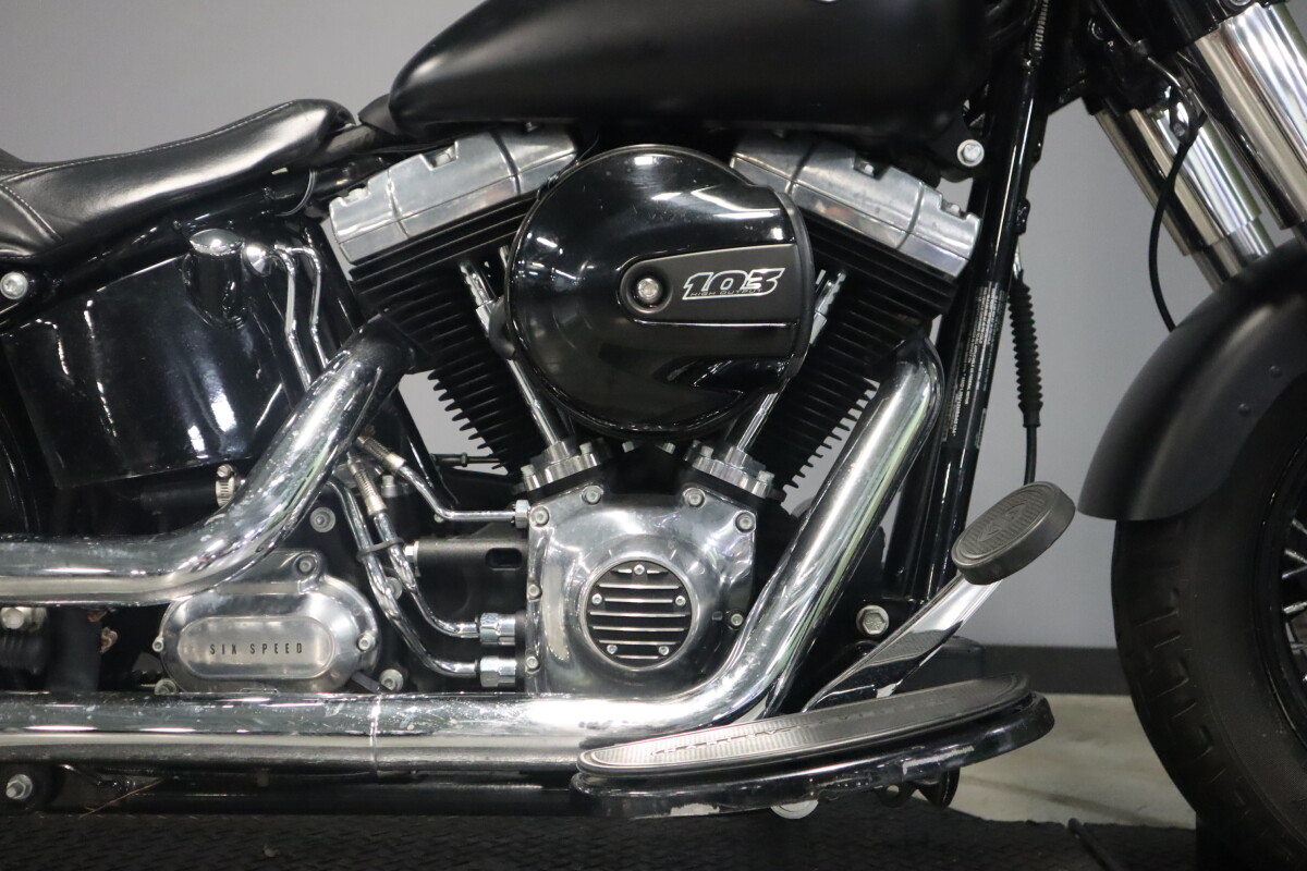 2017 Harley-Davidson Softail Slim S FLSS - Photo 10