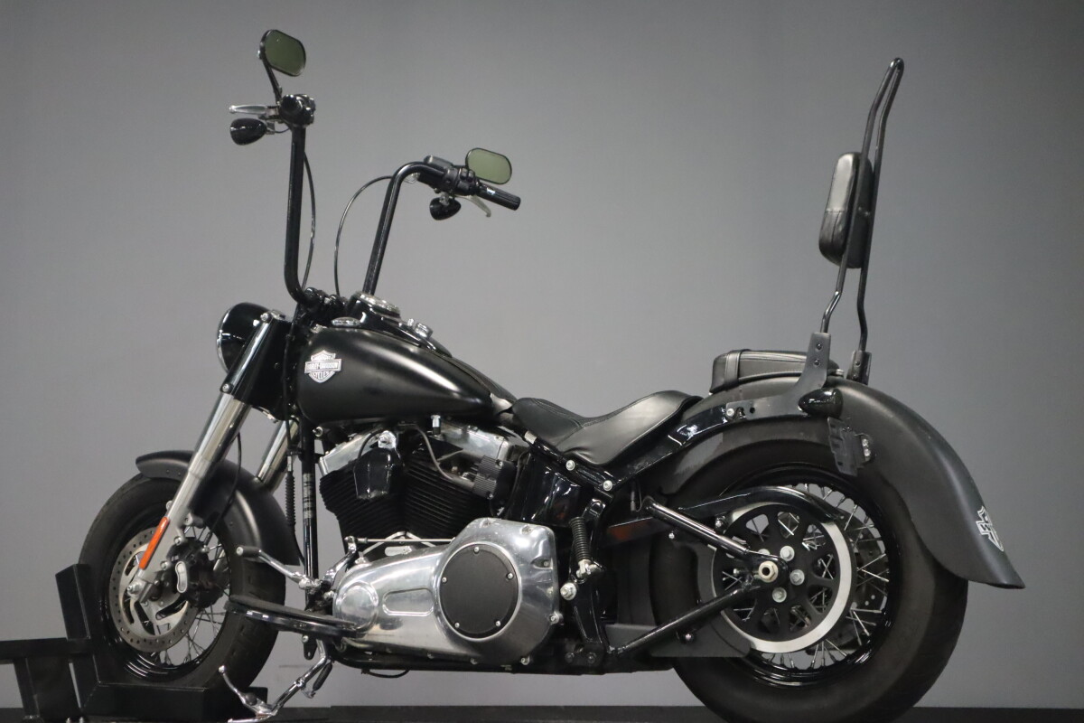 2017 Harley-Davidson Softail Slim S FLSS - Photo 6