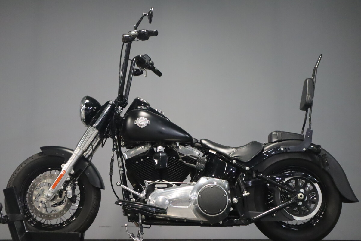2017 Harley-Davidson Softail Slim S FLSS - Photo 5