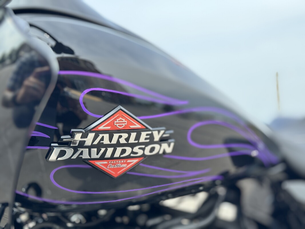 2025 Harley-Davidson Road Glide FLTRX MDNGHT FIRSTORM - Photo 8