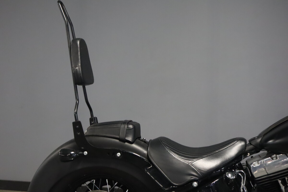 2017 Harley-Davidson Softail Slim S FLSS - Photo 9