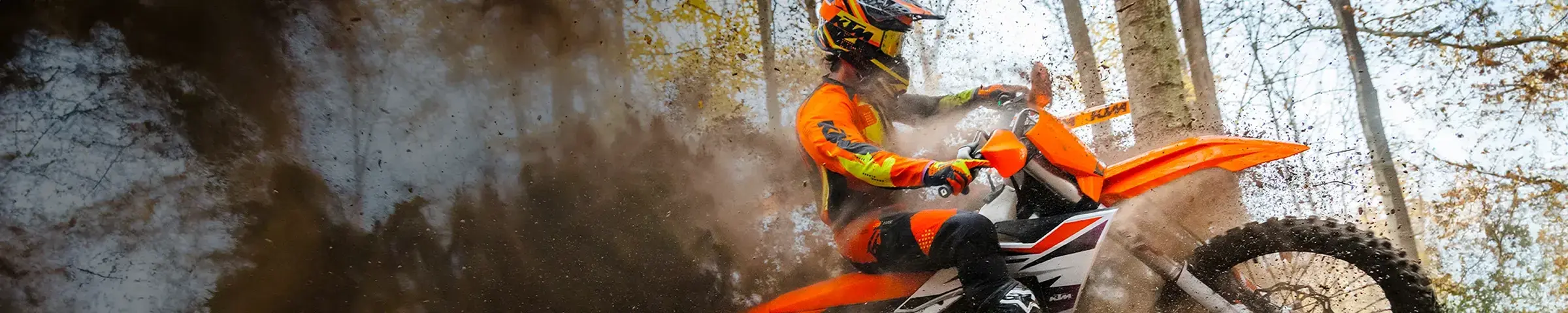 About Champion Motorsports