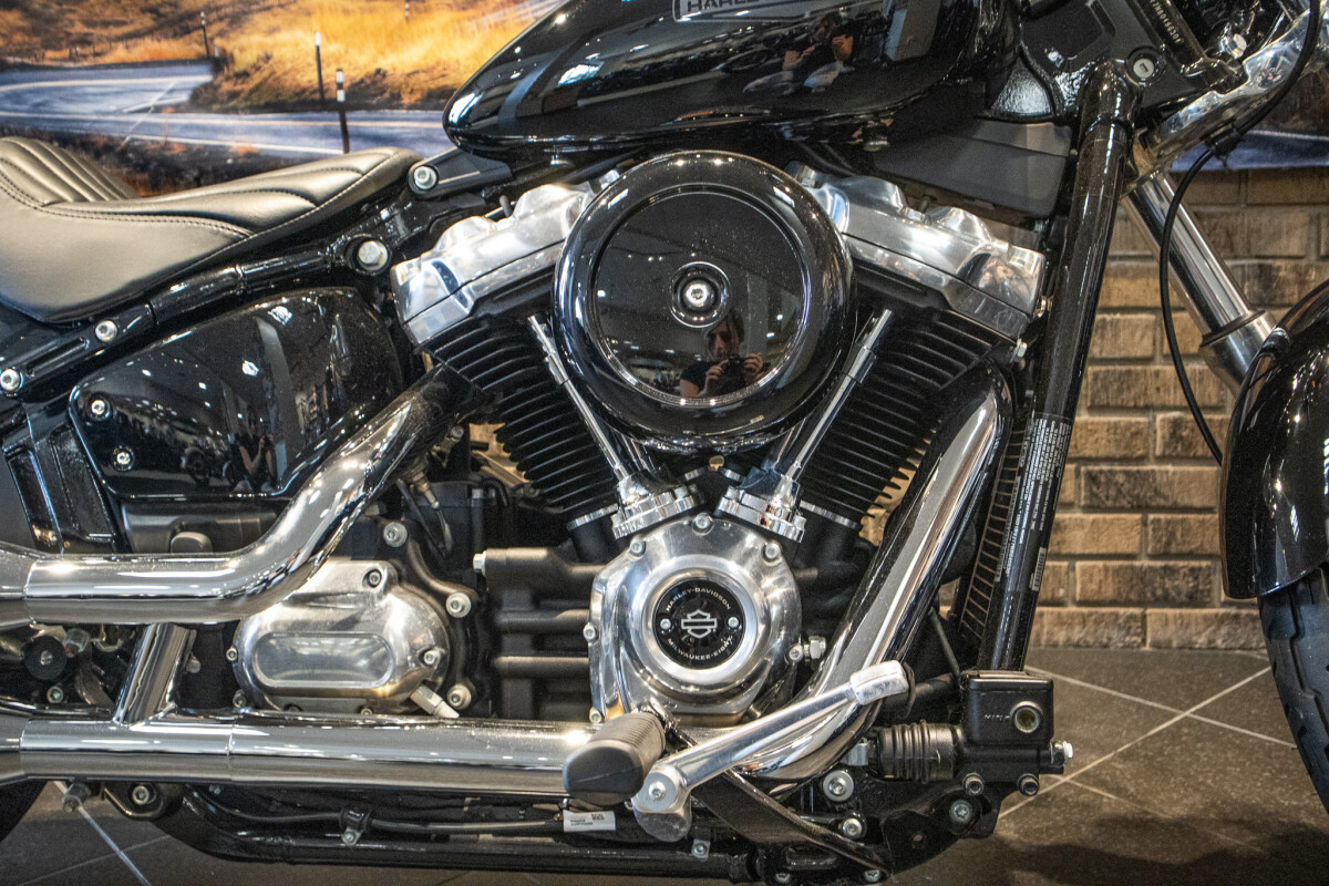 2022 Softail Standard (FXST) - Photo 6