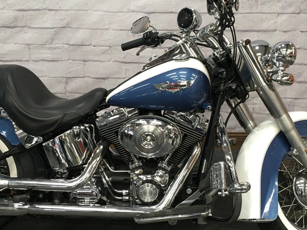 2005 Harley-Davidson Softail Deluxe Glacier White and Chopper Blue FLSTNI - Photo 3