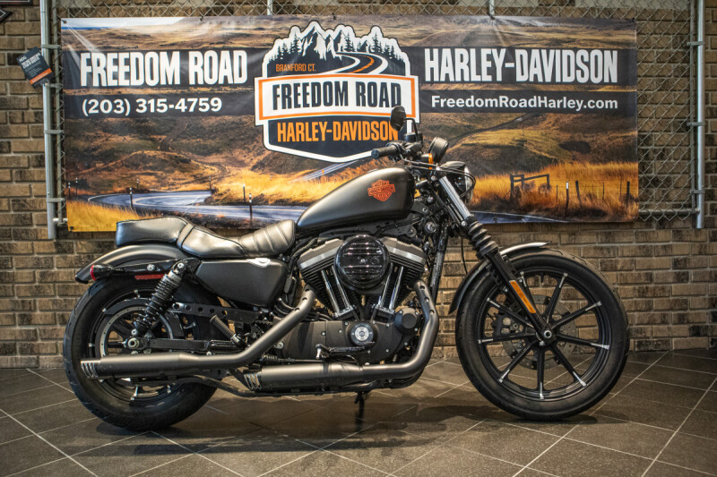 2021 Iron 883™ (XL883N)