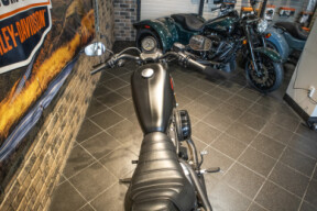 2021 Iron 883™ (XL883N) thumb 1
