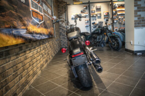 2023 Softail® Standard (FXST) thumb 2