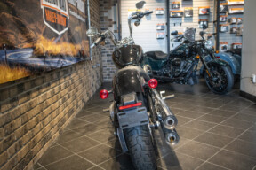 2022 Softail Standard® (FXST) thumb 3