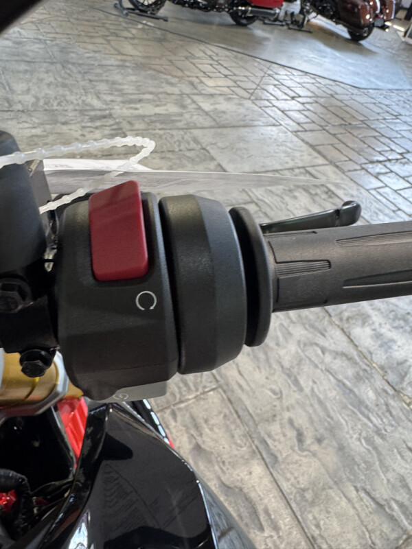 2025 BMW Motorrad G 310 R, photo 13