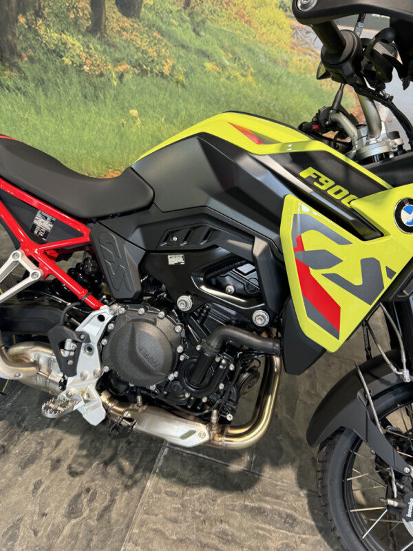 2025 BMW Motorrad F 900 GS - Photo 5