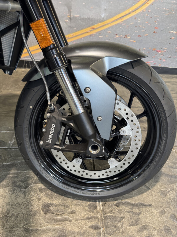 2024 BMW F 900 R - Photo 6