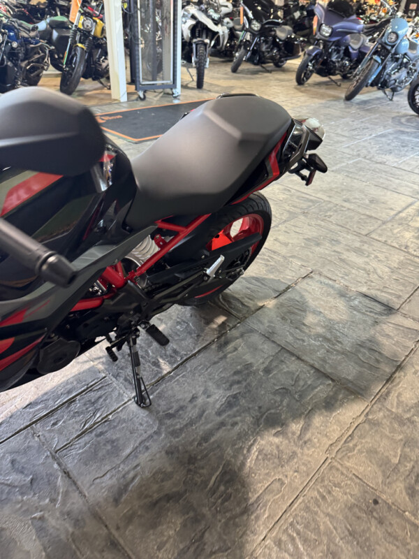 2025 BMW Motorrad G 310 R - Photo 10