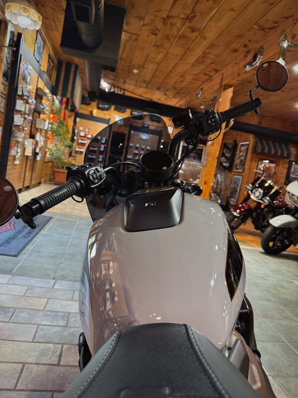 2024 Harley-Davidson Sportster S Billiard Gray - Photo 5