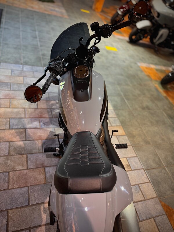 2024 Harley-Davidson Sportster S Billiard Gray - Photo 7
