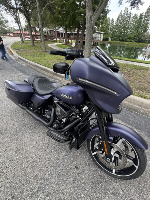 2025 Harley-Davidson Street Glide - Photo 10