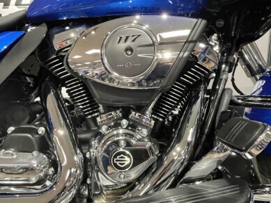 2025 Harley-Davidson Road Glide - Photo 10