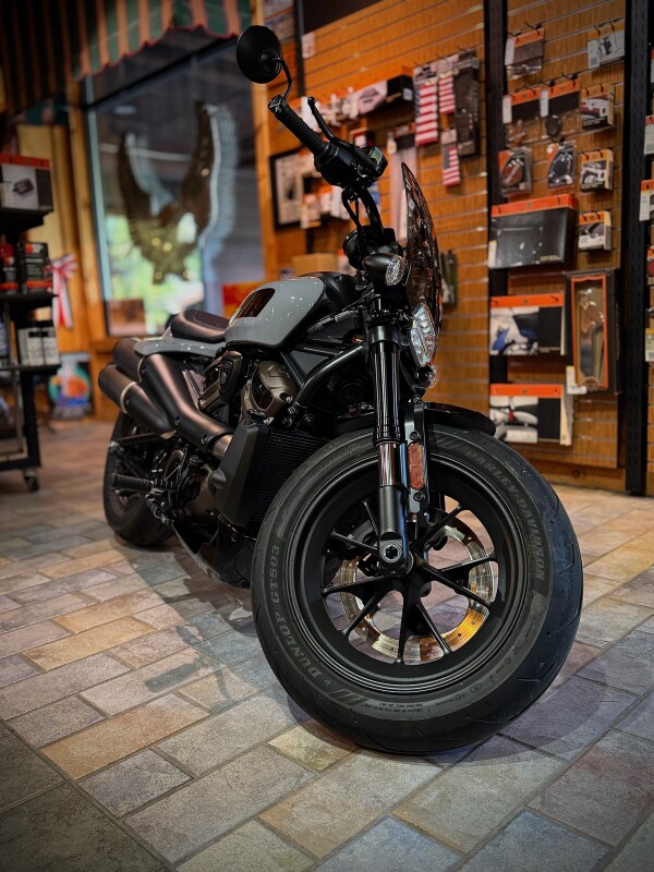 2024 Harley-Davidson Sportster S Billiard Gray - Photo 2