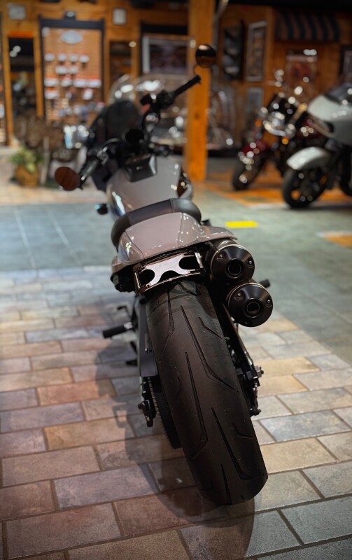 2024 Harley-Davidson Sportster S Billiard Gray - Photo 8