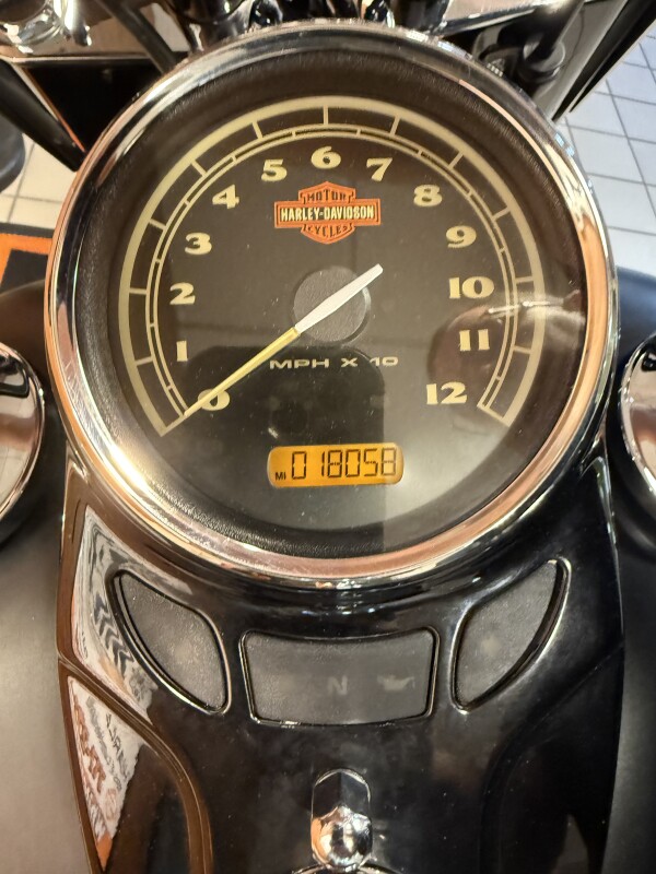 2016 H-D FLS Softail Slim 103ci - Photo 7
