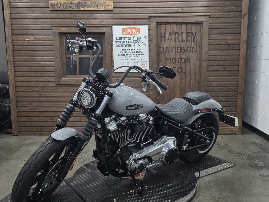 2025 Harley-Davidson Street Bob BILLIARD GRAY/CHROME TRIM - Photo 6