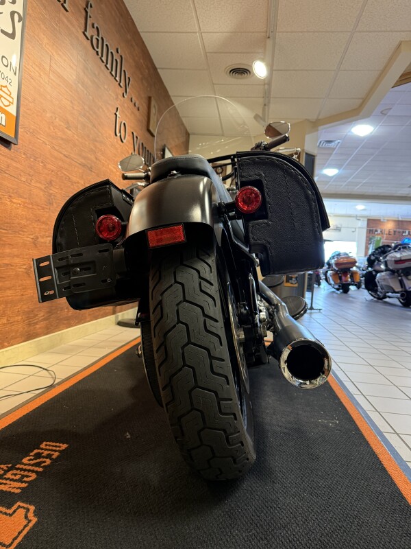 2016 H-D FLS Softail Slim 103ci - Photo 4