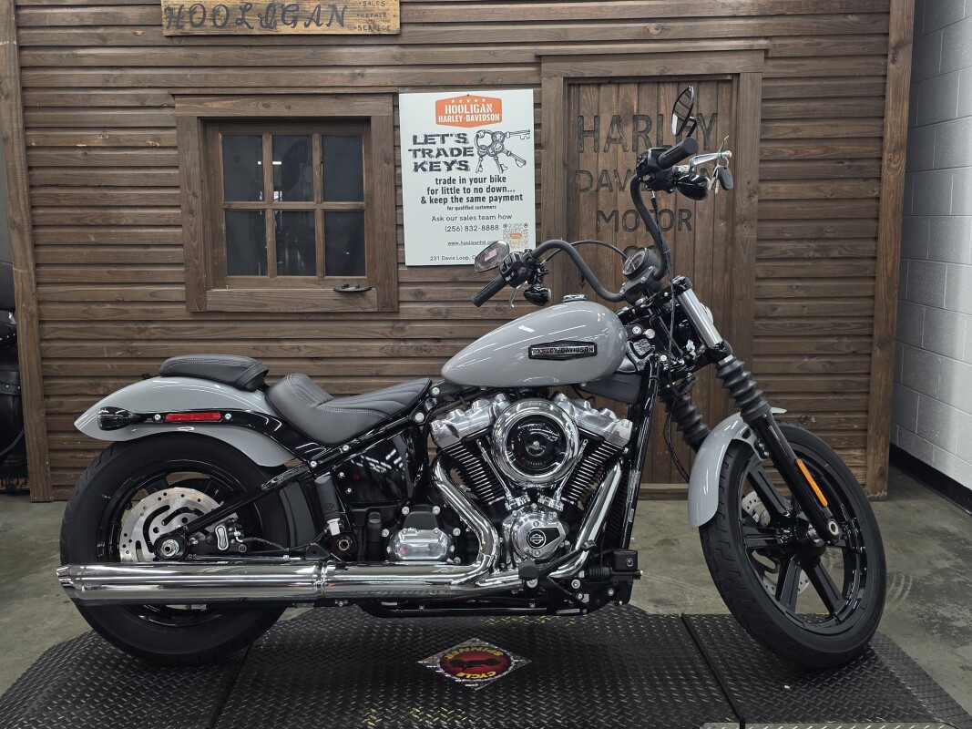2025 Harley-Davidson Street Bob BILLIARD GRAY/CHROME TRIM