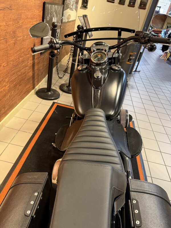 2016 H-D FLS Softail Slim 103ci - Photo 5
