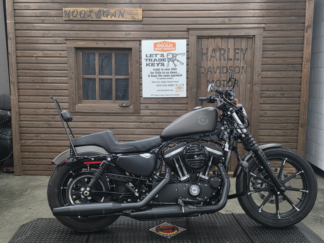 2021 Harley-Davidson® Iron 883™ RIVER ROCK GRAY DENIM
