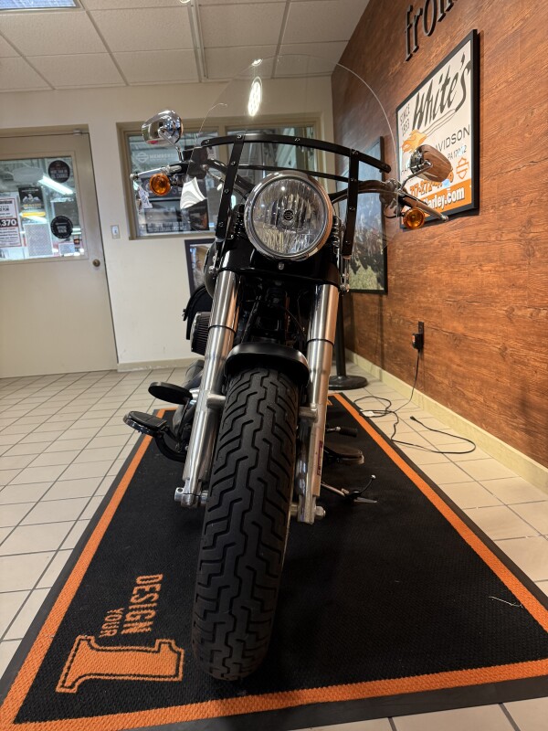 2016 H-D FLS Softail Slim 103ci - Photo 6