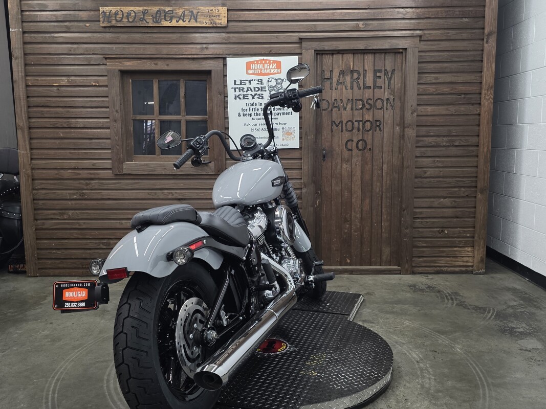 2025 Harley-Davidson Street Bob BILLIARD GRAY/CHROME TRIM - Photo 3