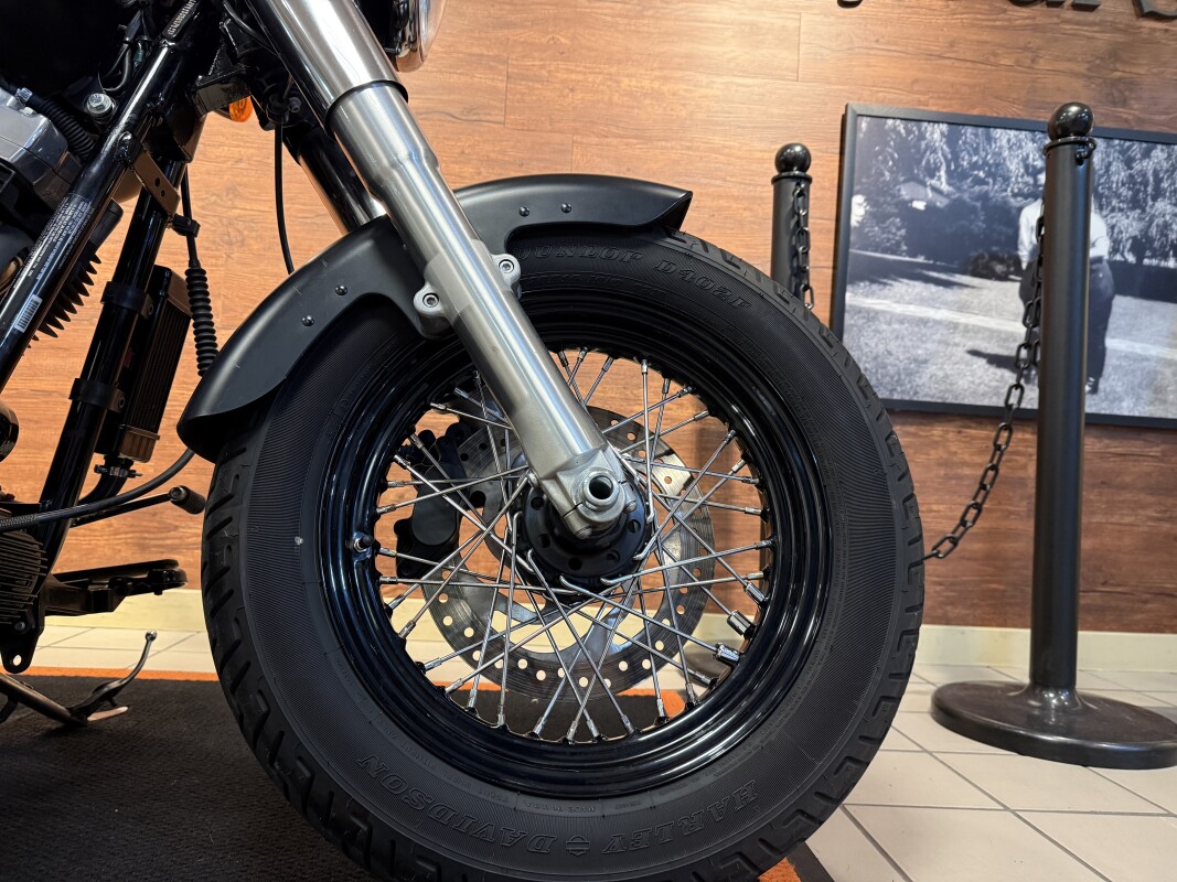 2016 H-D FLS Softail Slim 103ci - Photo 2