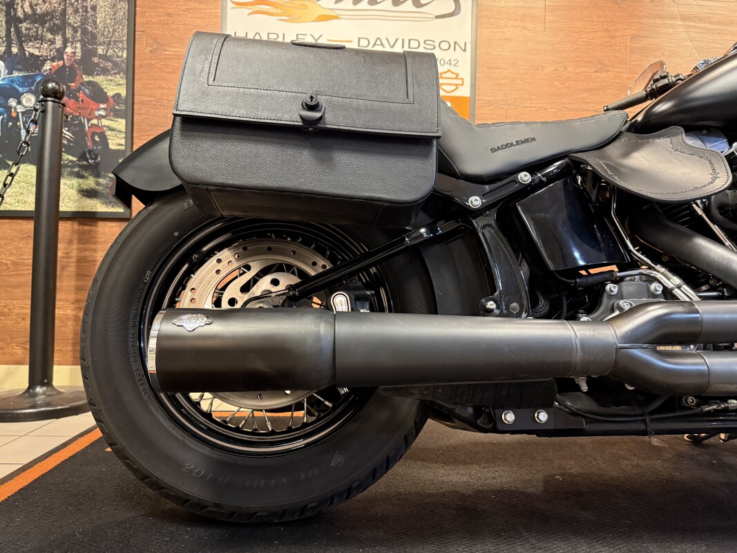 2016 H-D FLS Softail Slim 103ci - Photo 3