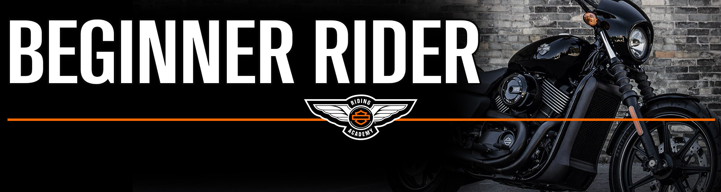 Beginner Rider