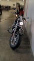 2012 Sportster 1200 Custom Black XL1200C