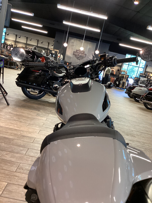 RH1250S 2024 Sportster S - Photo 7