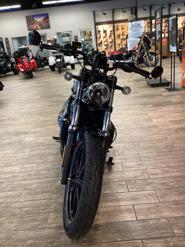 RH975 2025 Nightster - Photo 5