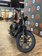 2020 Harley-Davidson<sup>®</sup> Iron 1200<sup>™</sup> BILLIARD BLUE thumb 1