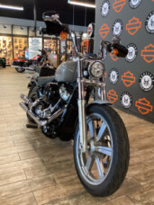FXST 2024 Softail™ Standard thumb 1