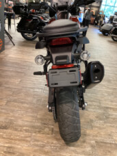 2024 Harley-Davidson<sup>®</sup> Pan America™ 1250 Special RED RCK/BRC WHT W/ PINSTRIP thumb 2