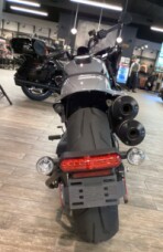 RH1250S 2024 Sportster™ S thumb 2