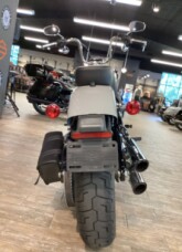 FXST 2024 Softail™ Standard thumb 2