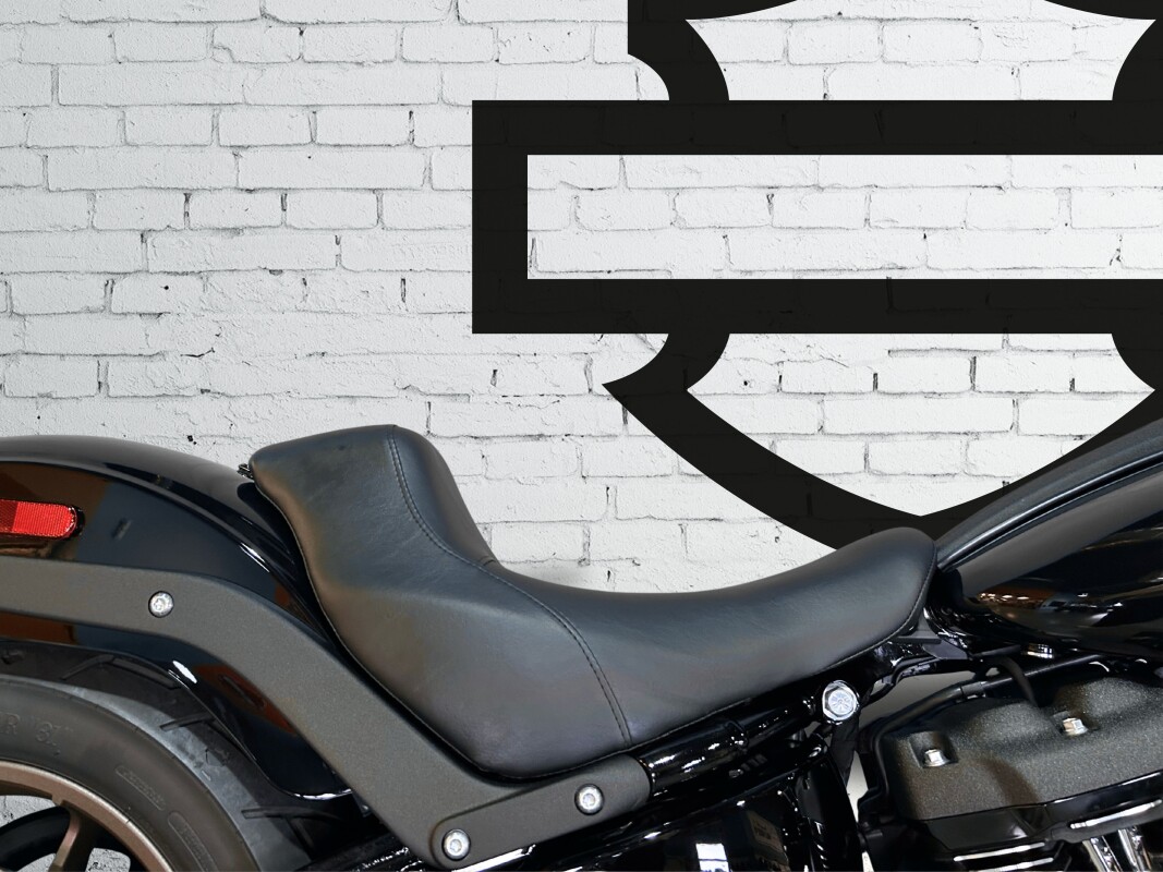 2024 Harley-Davidson Low Rider S Vivid Black - Photo 6
