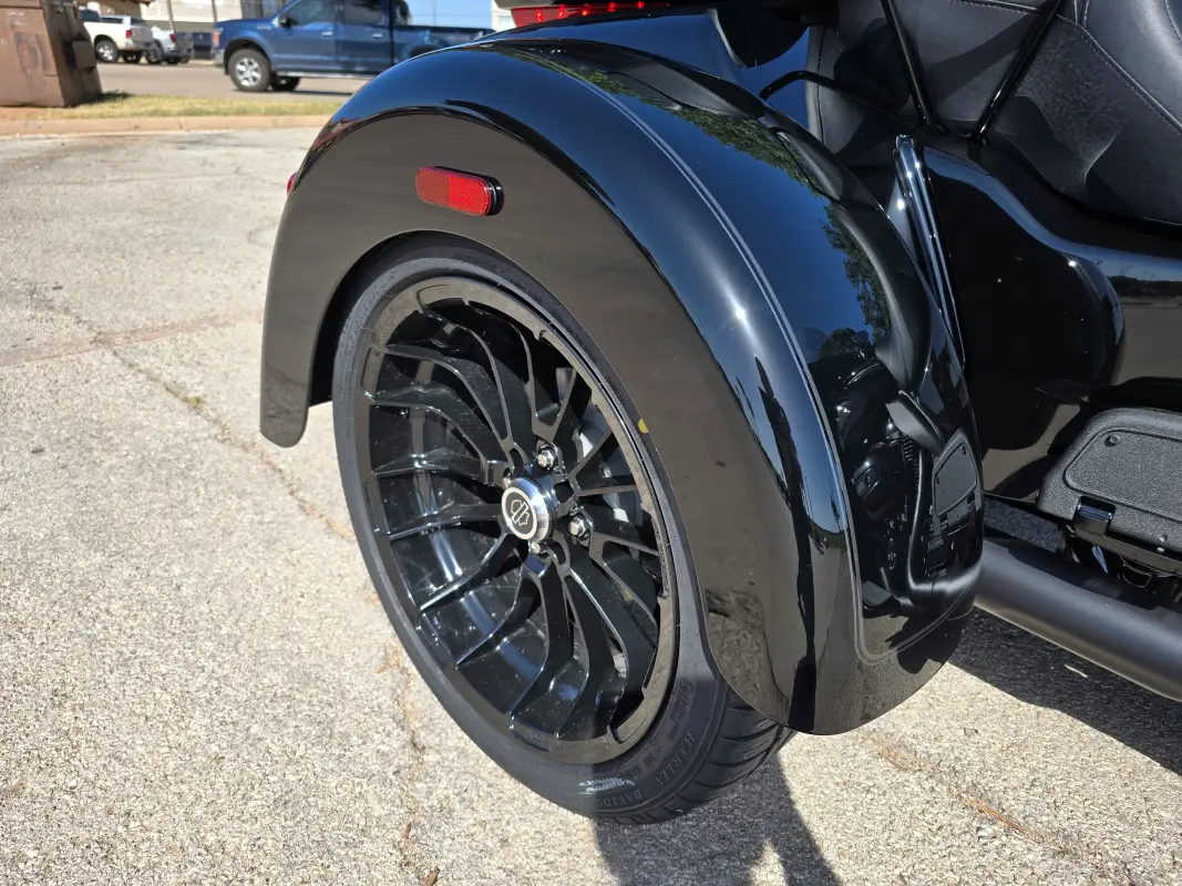 2025 Harley-Davidson Tri Glide Ultra - Photo 8