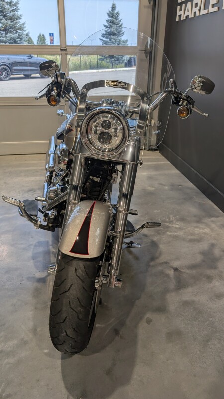 2007 Harley-Davidson Fat Boy Pewter Pearl - Photo 5