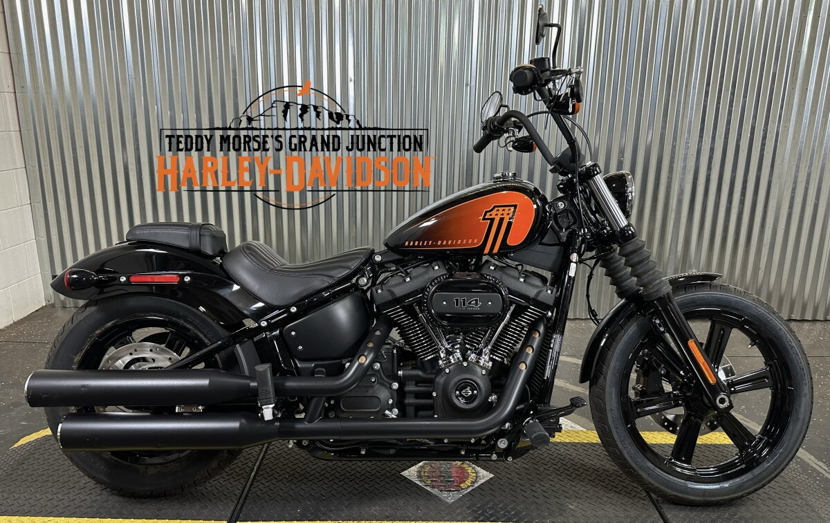 2025 Harley-Davidson® Low Rider™ ST Blue Burst | Teddy
